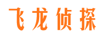 顺庆市私家侦探